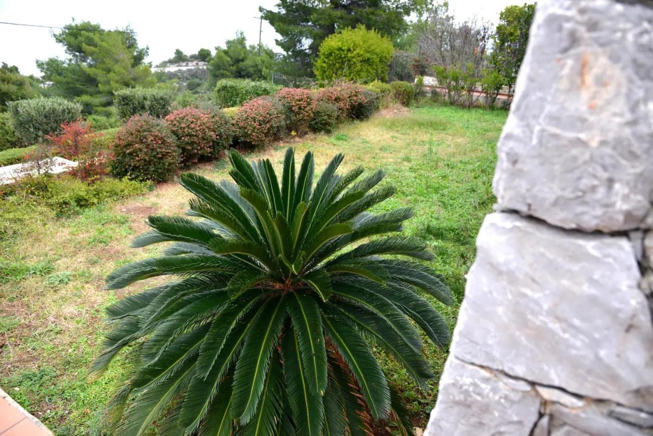 Vila Amalia Theologos  Exterior photo